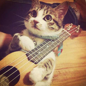 欧美黑人色情ⅩXXⅩ性药瓶游戏
